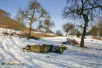 Brunnen-Überreste in der Schlossweide (2006) Brunnen-Überreste in der Schlossweide (2006)
