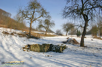 Brunnen-Überreste in der Schlossweide (2006)